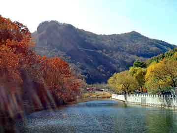 正新澳门二四六天天彩，牧草哪些地方有